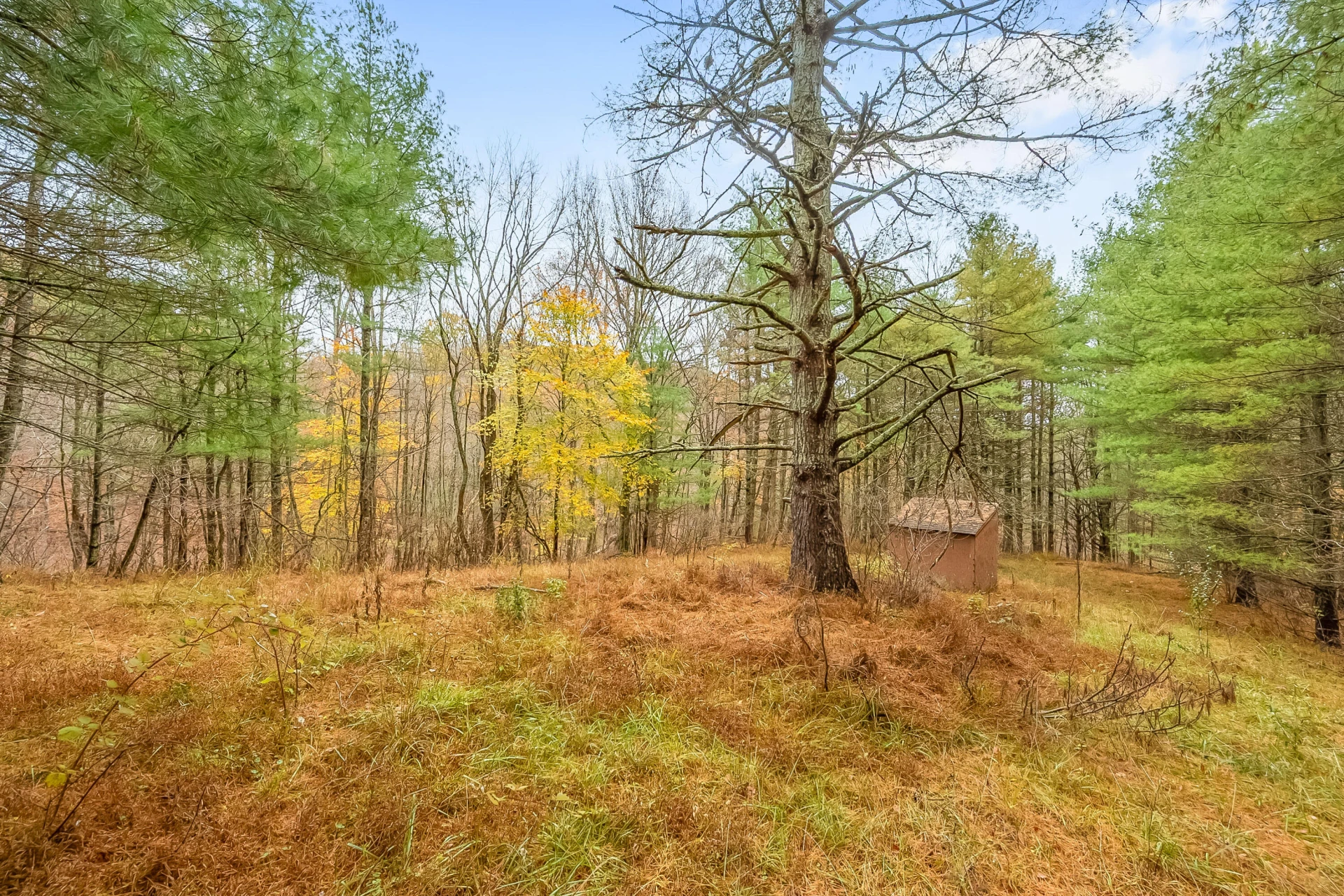 528 Falling Branch RD - Photo 59
