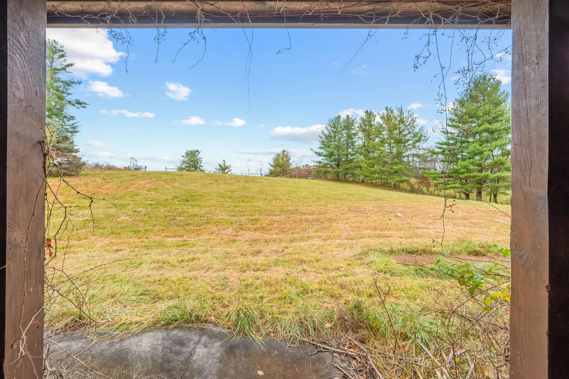 528 Falling Branch RD - Photo 6