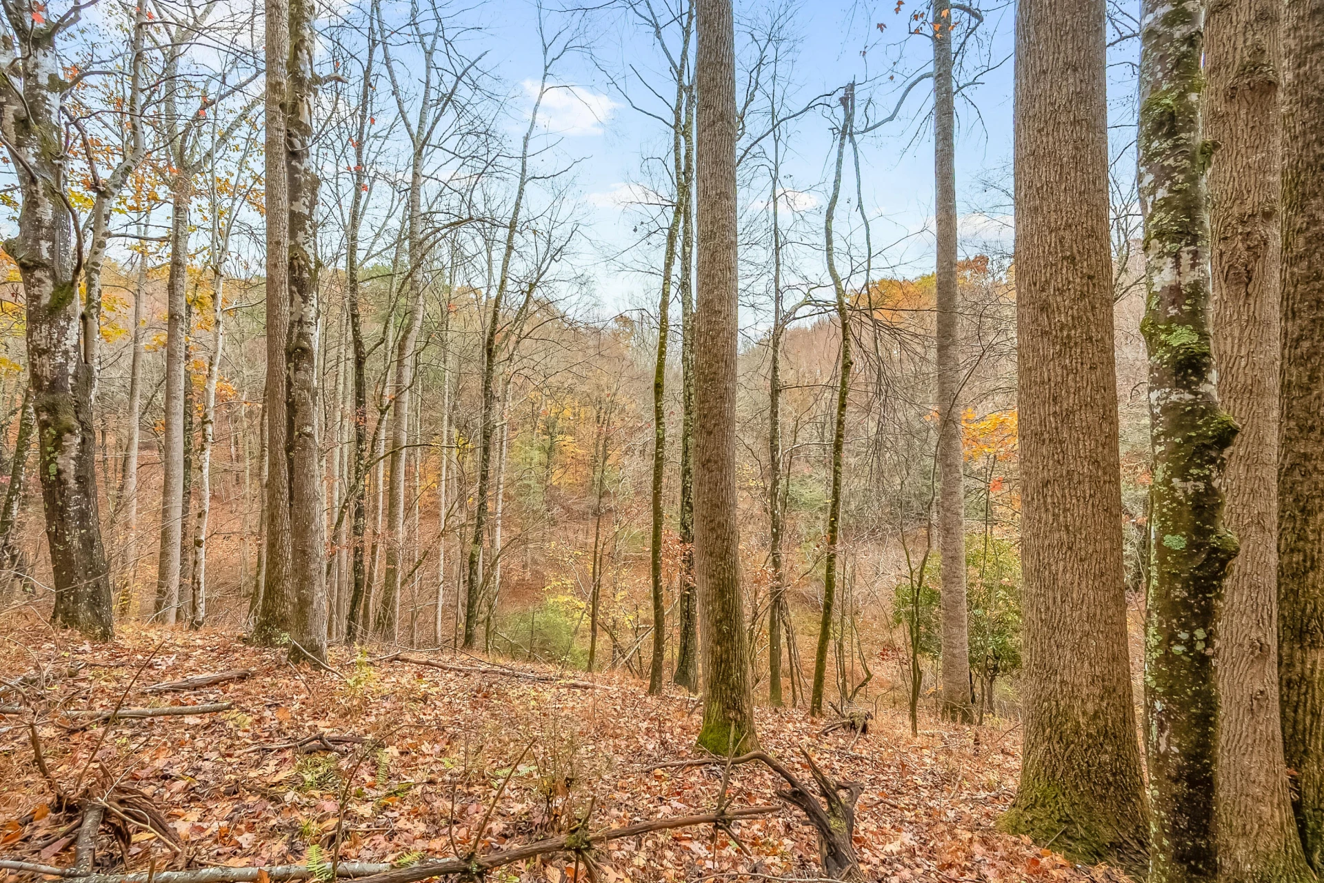528 Falling Branch RD - Photo 61