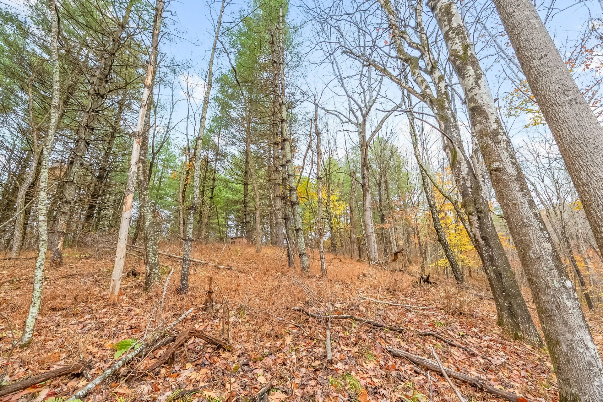 528 Falling Branch RD - Photo 63