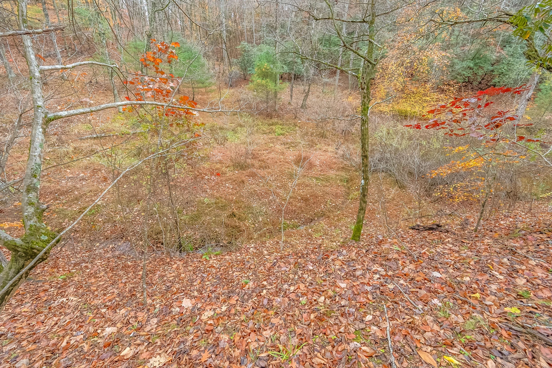 528 Falling Branch RD - Photo 64