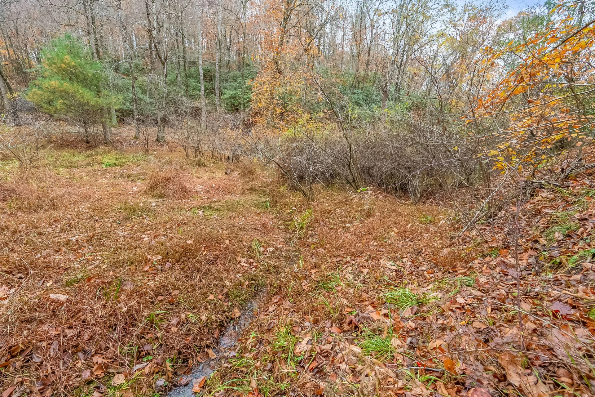528 Falling Branch RD - Photo 65