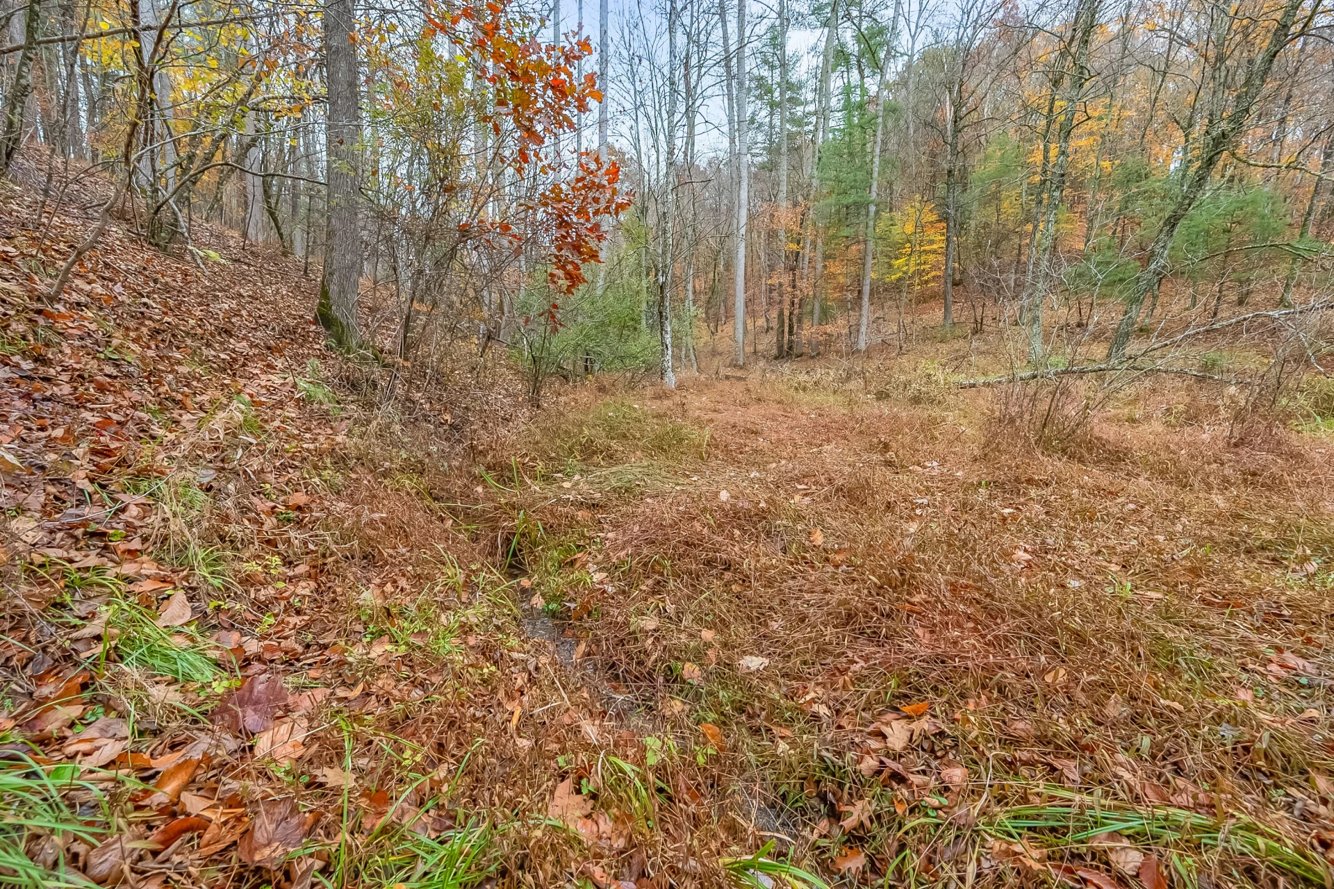528 Falling Branch RD - Photo 66
