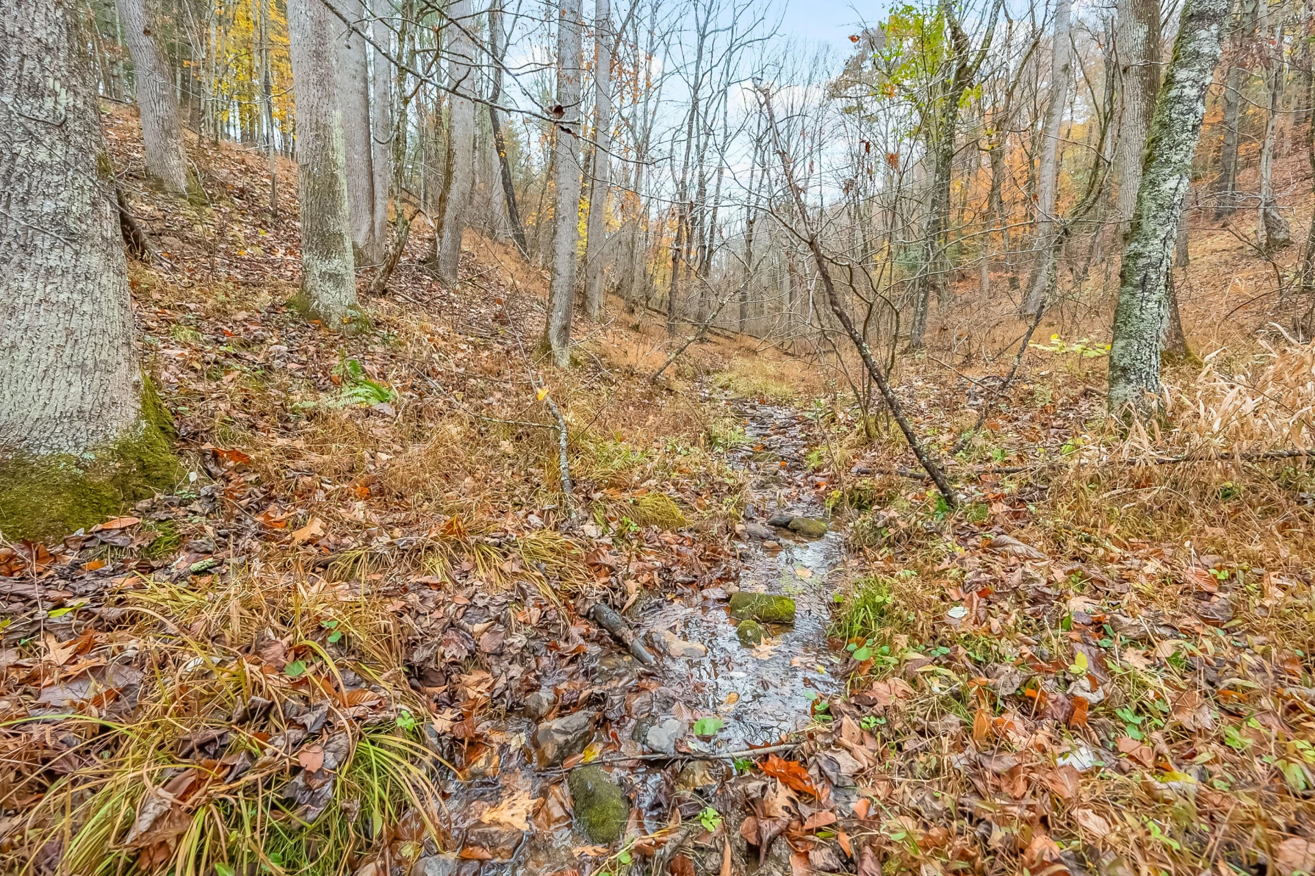 528 Falling Branch RD - Photo 67