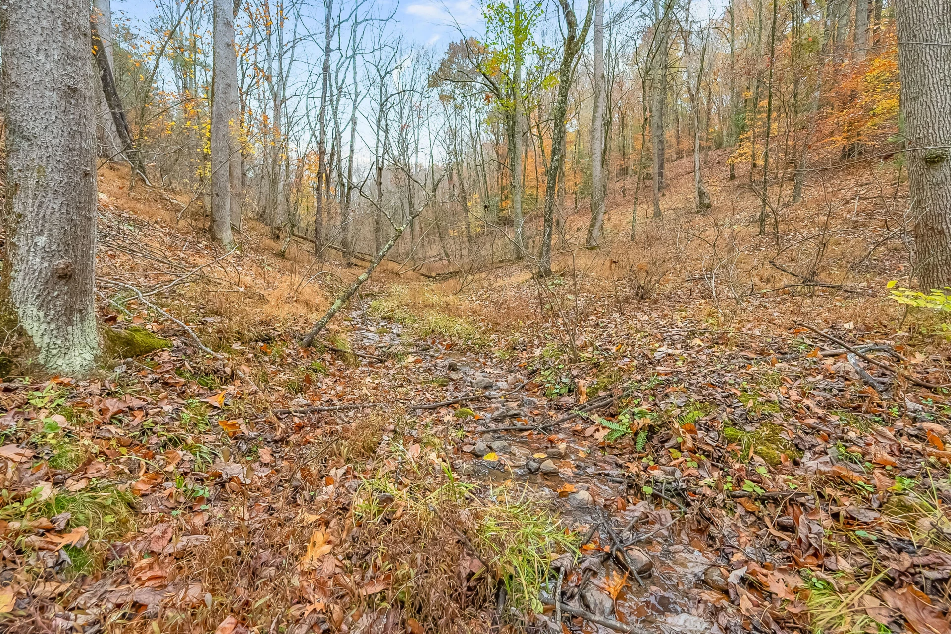 528 Falling Branch RD - Photo 68