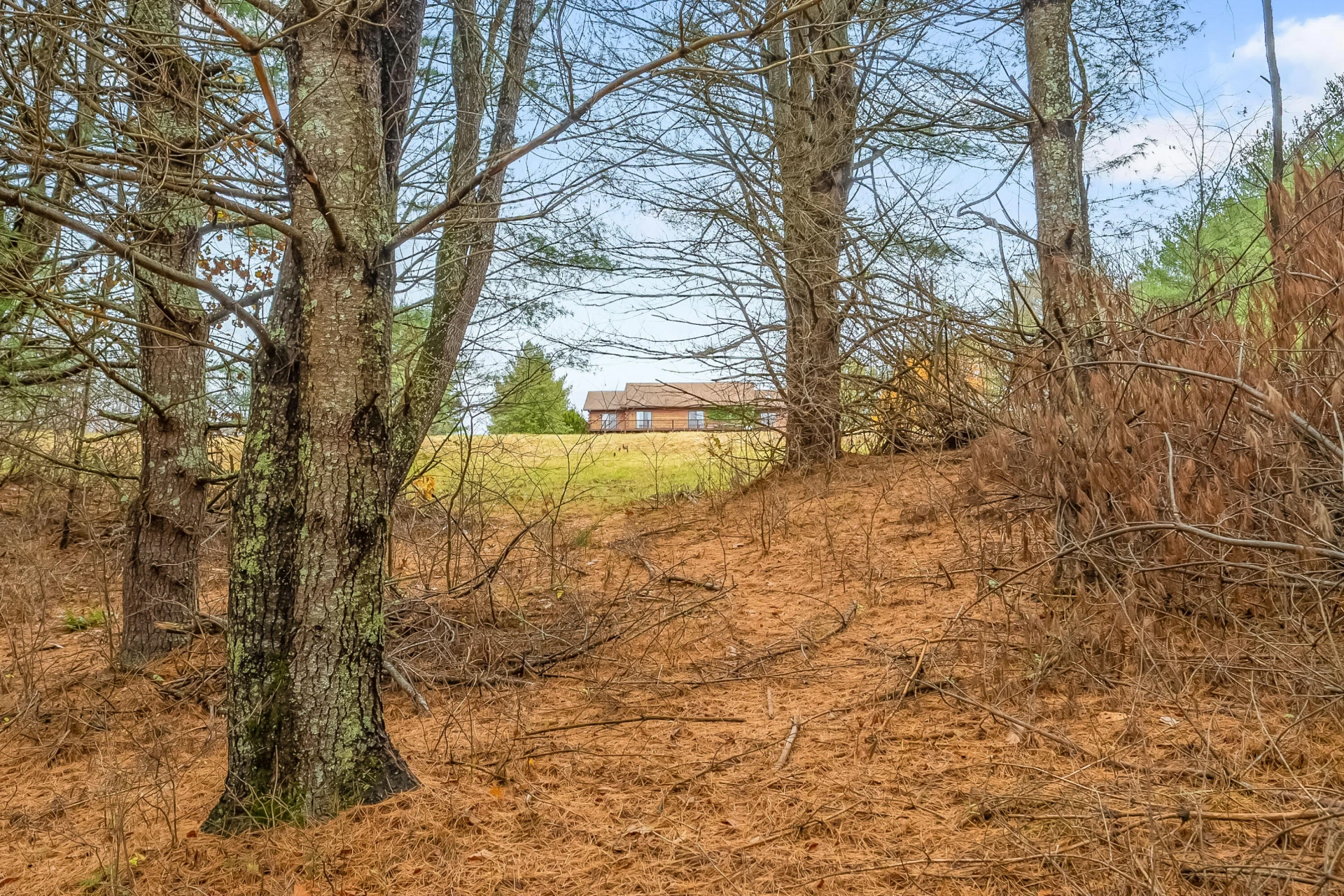 528 Falling Branch RD - Photo 70