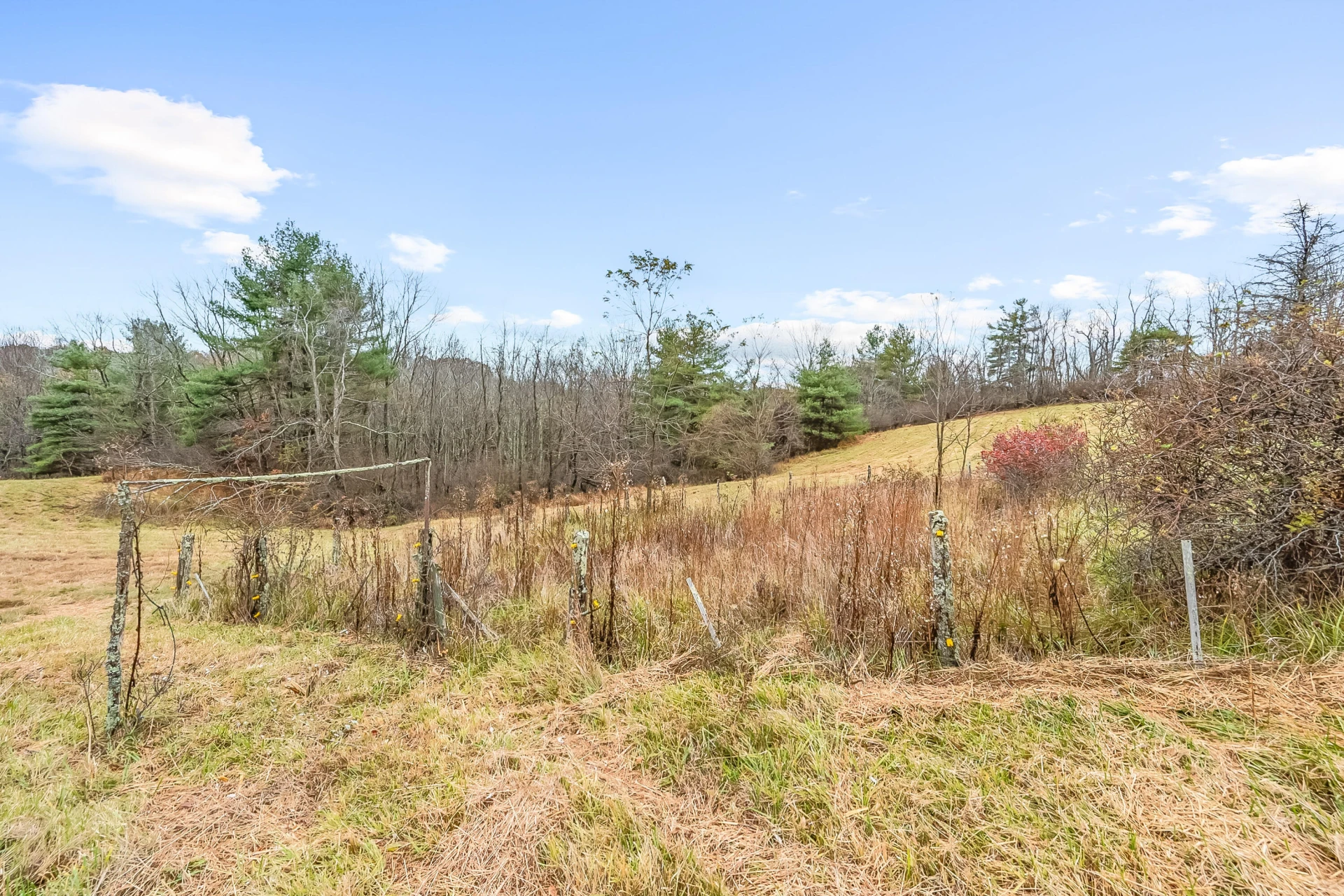 528 Falling Branch RD - Photo 75