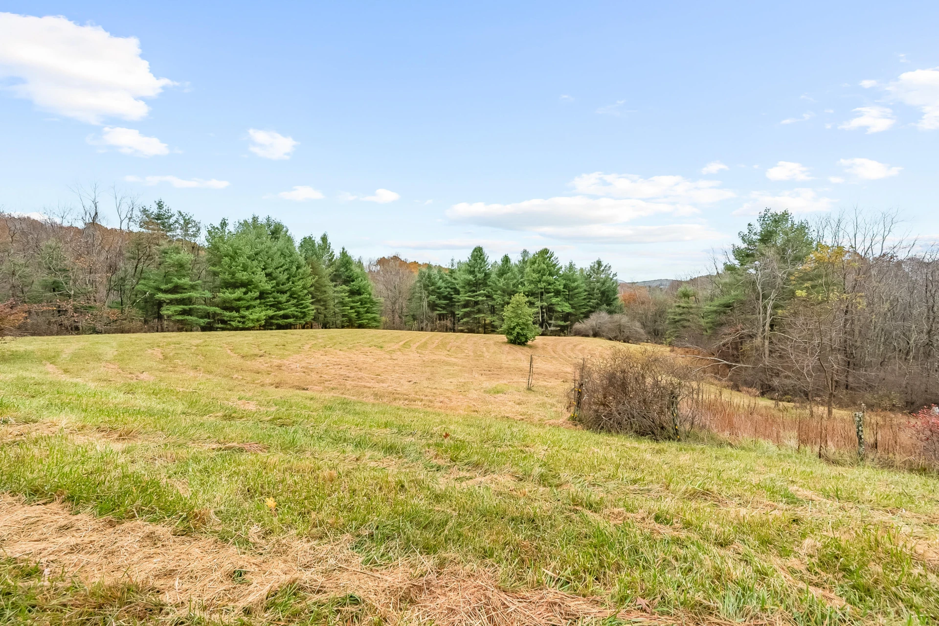 528 Falling Branch RD - Photo 76