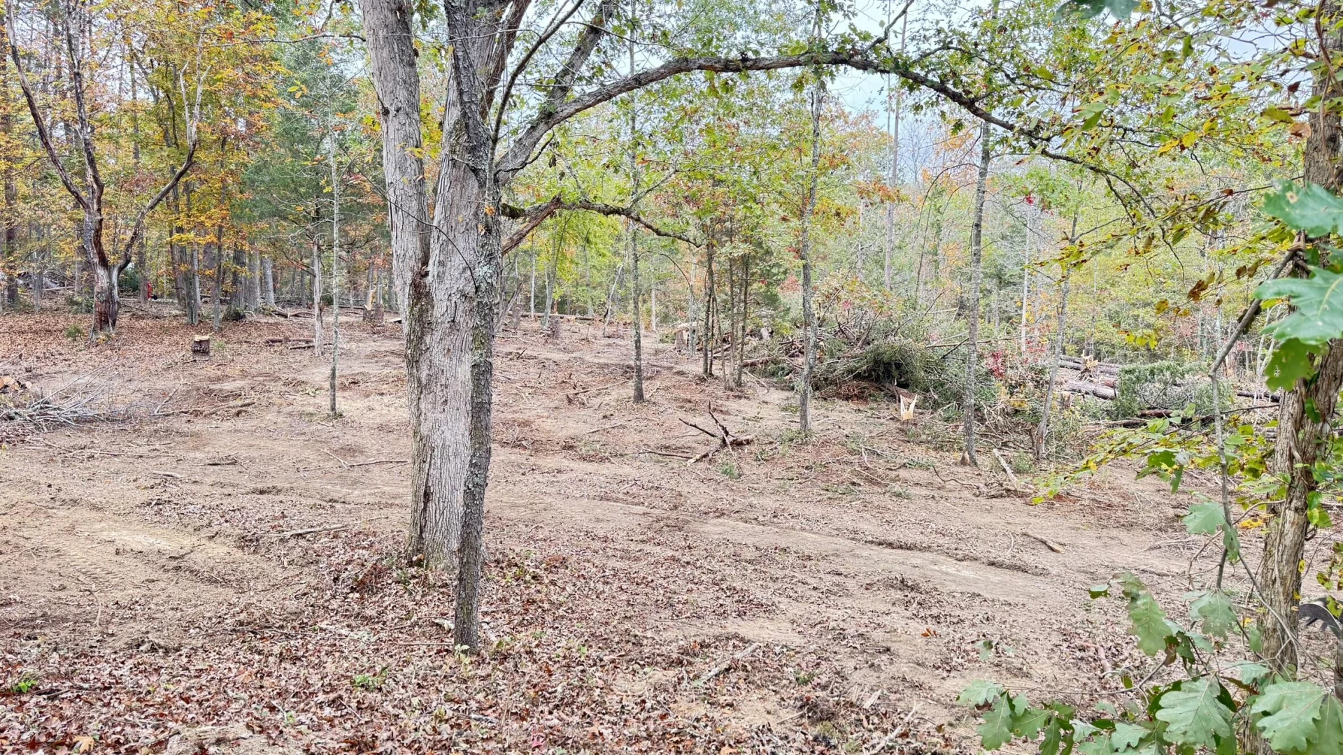 3741 Knob Creek TRL - Photo 11
