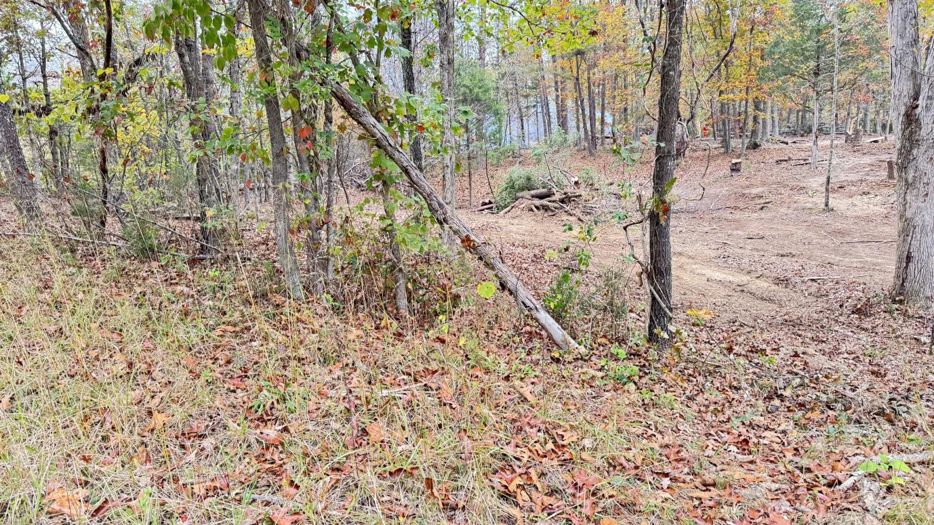 3741 Knob Creek TRL - Photo 13