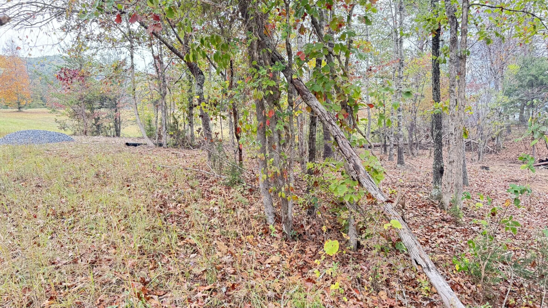 3741 Knob Creek TRL - Photo 15