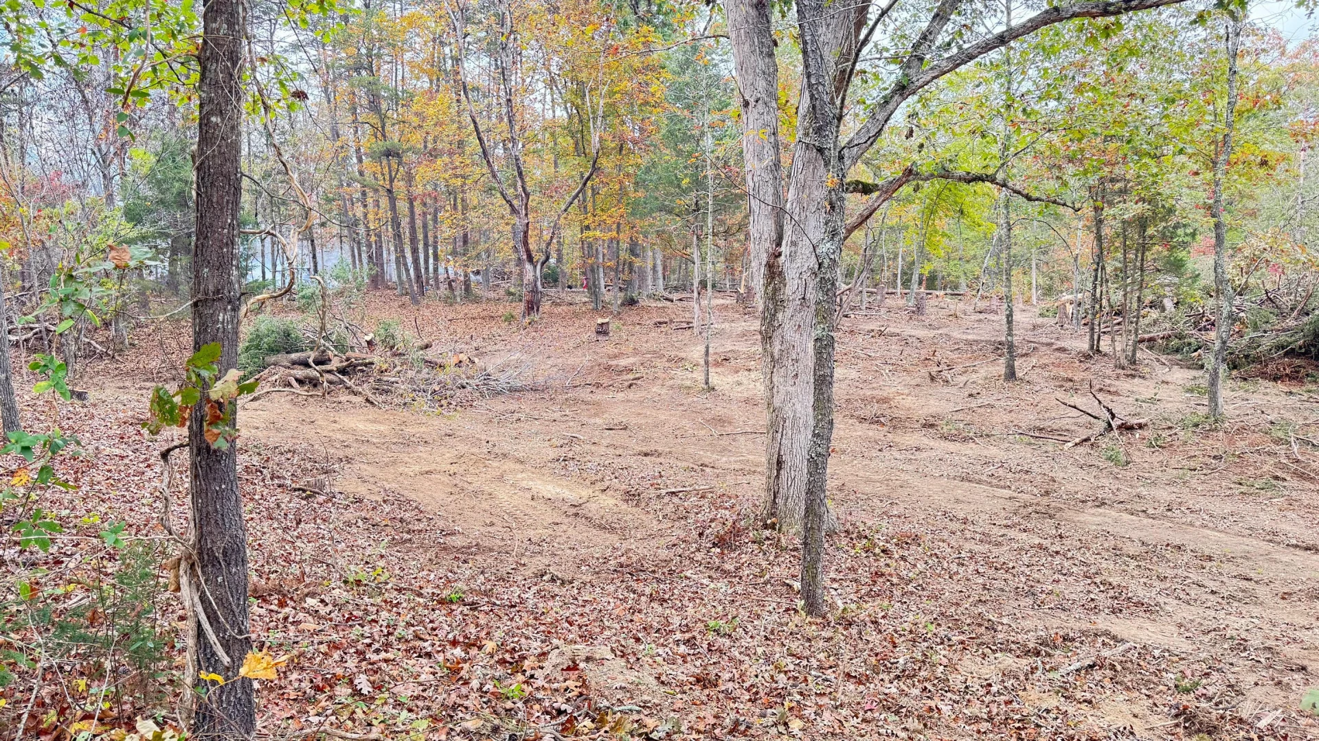 3741 Knob Creek TRL - Photo 5