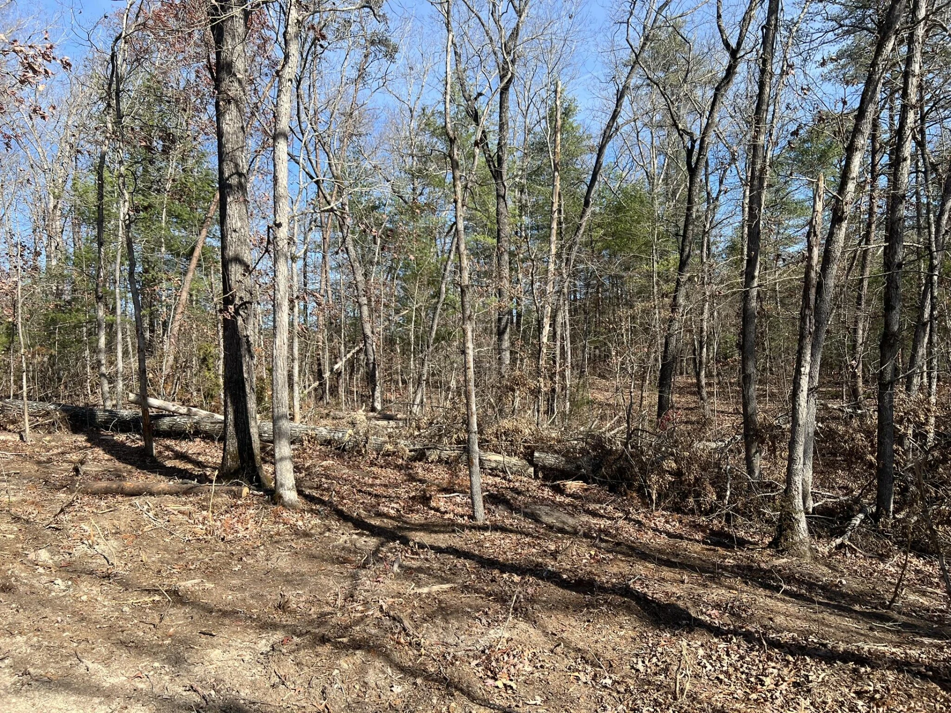 3741 Knob Creek TRL - Photo 6