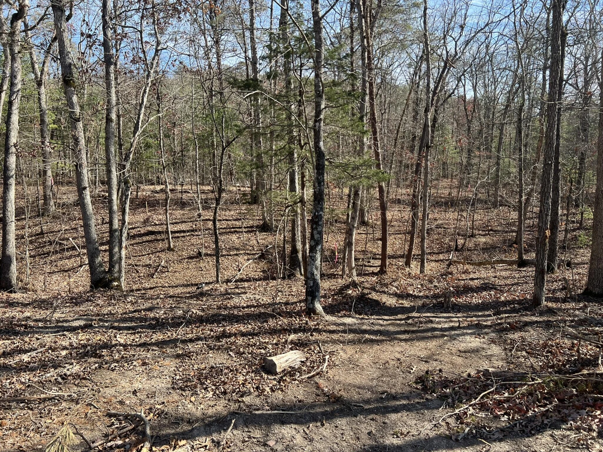 3741 Knob Creek TRL - Photo 7