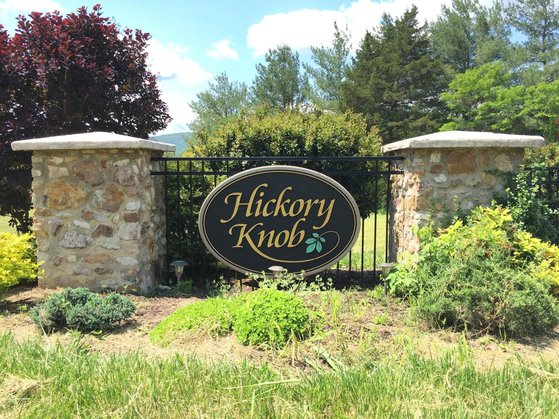 3741 Knob Creek TRL - Photo 9