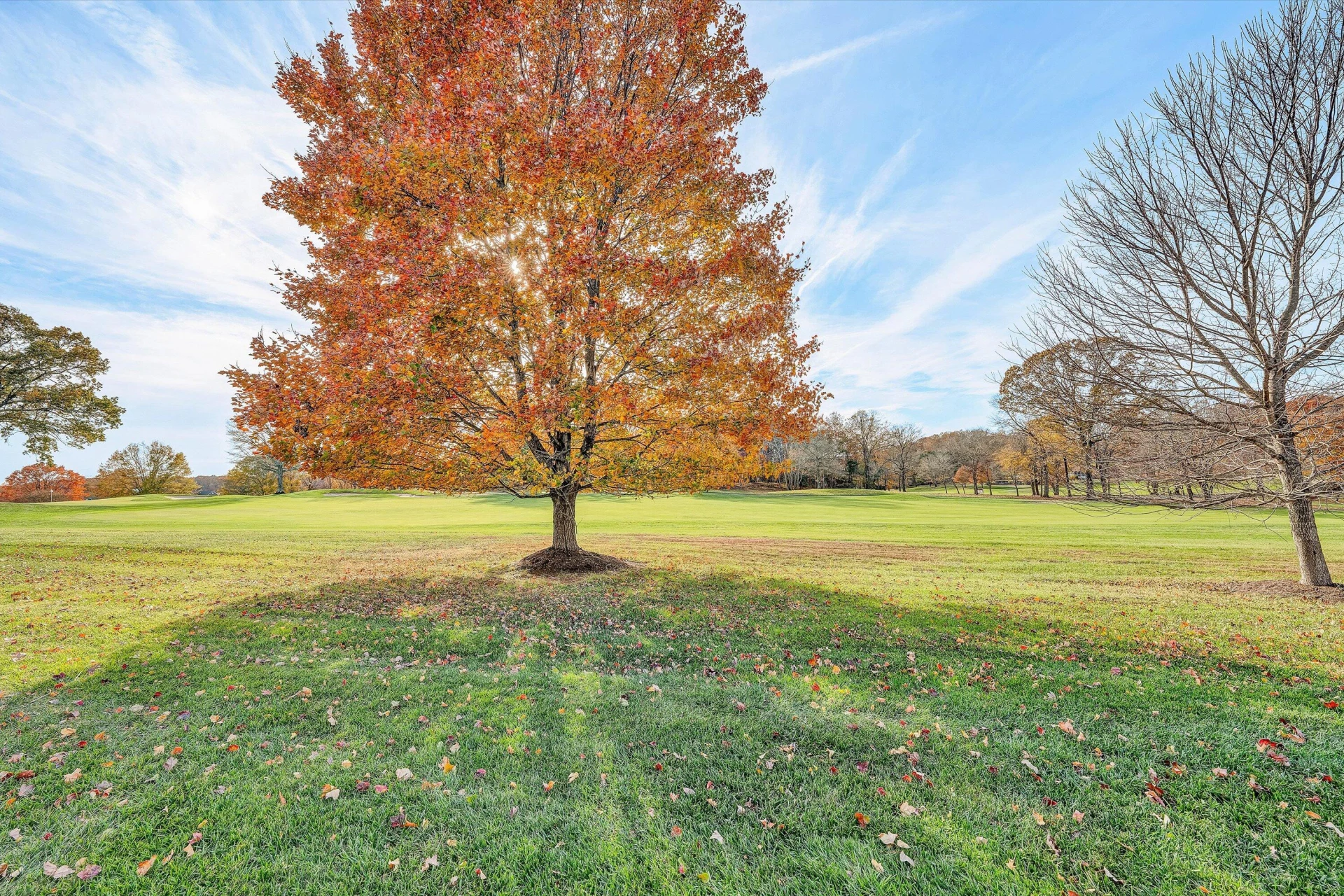 127 Village Green DR - Photo 24