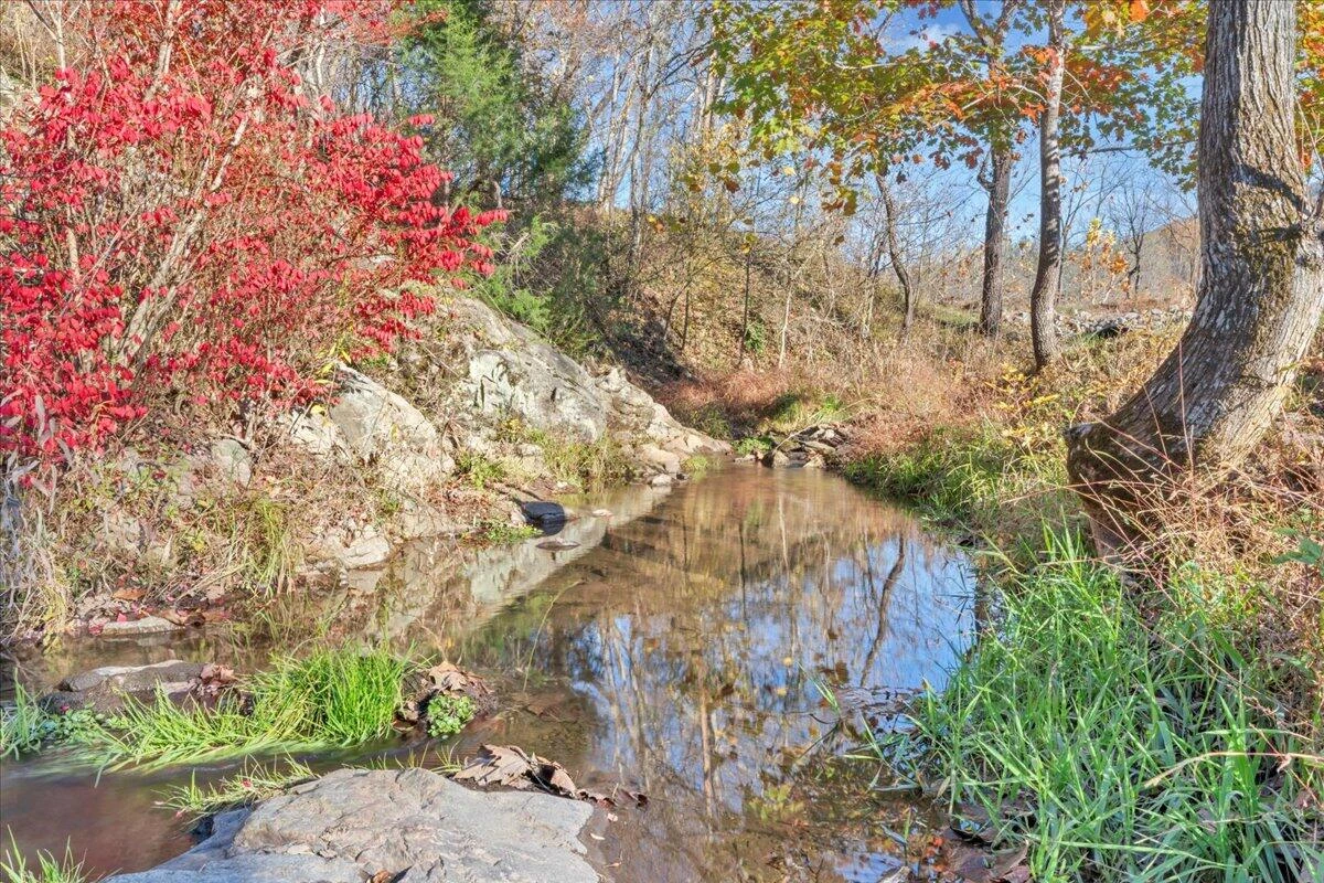 6742 Dawnwood & 0 Poage Valley RD - Photo 83