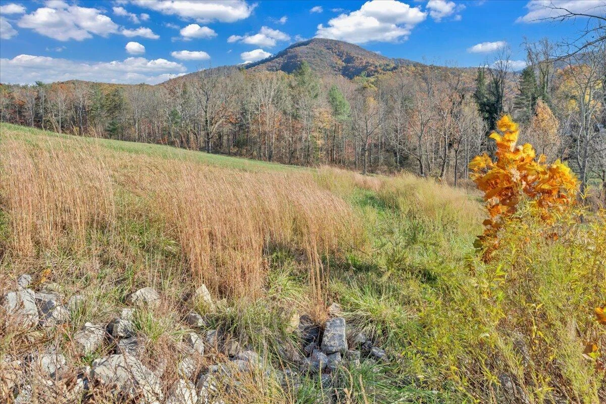 6742 Dawnwood & 0 Poage Valley RD - Photo 86