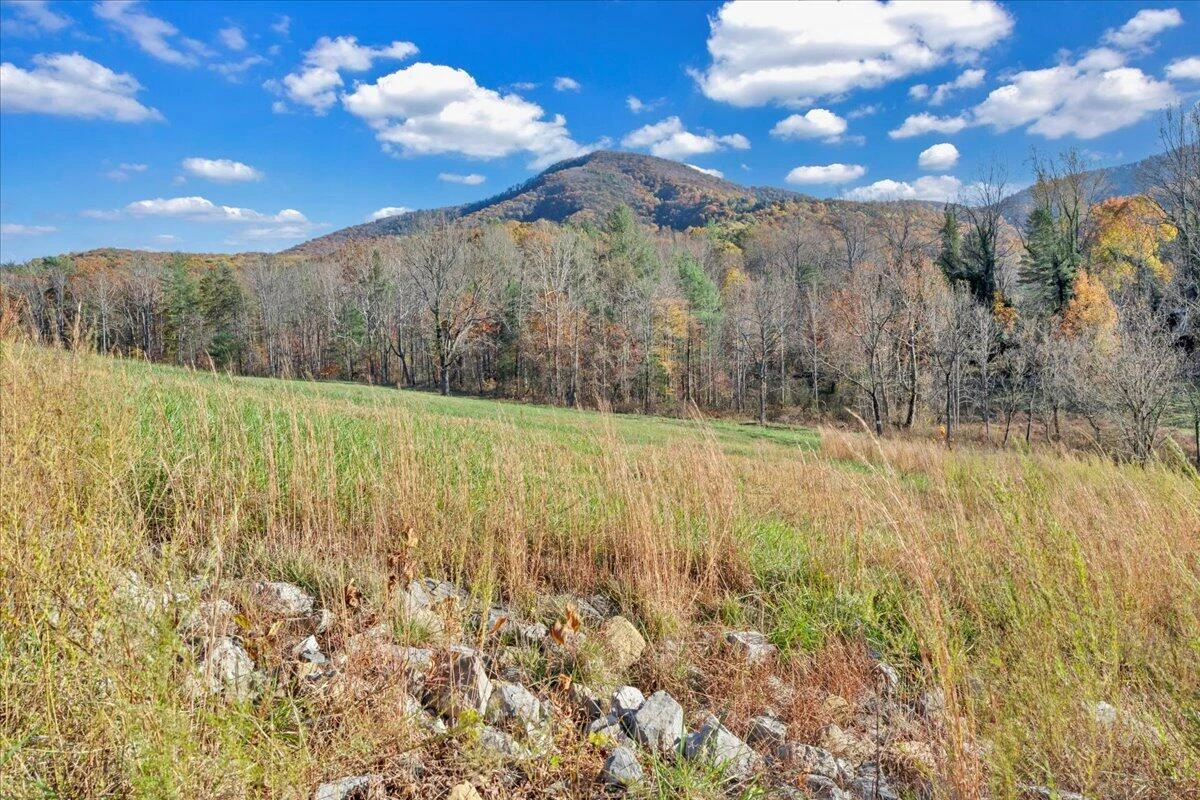 6742 Dawnwood & 0 Poage Valley RD - Photo 91
