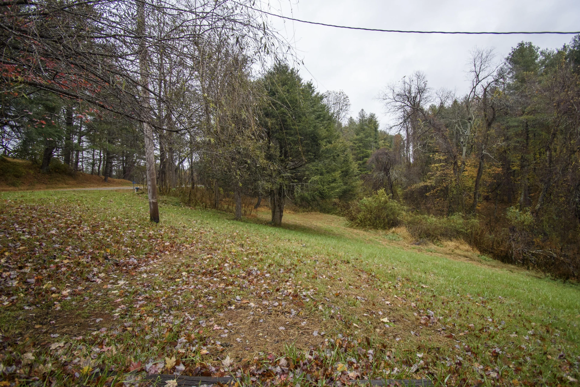320 Stuart RD - Photo 12
