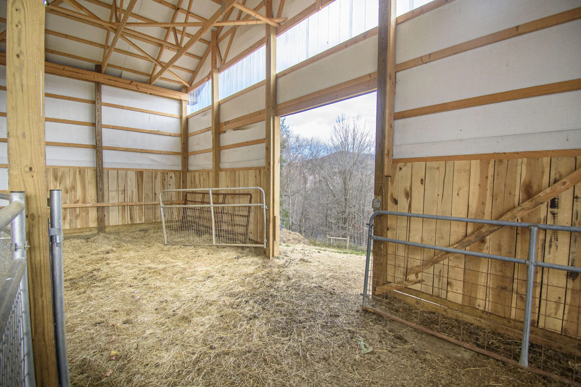 5485 Buffalo Mountain RD - Photo 54