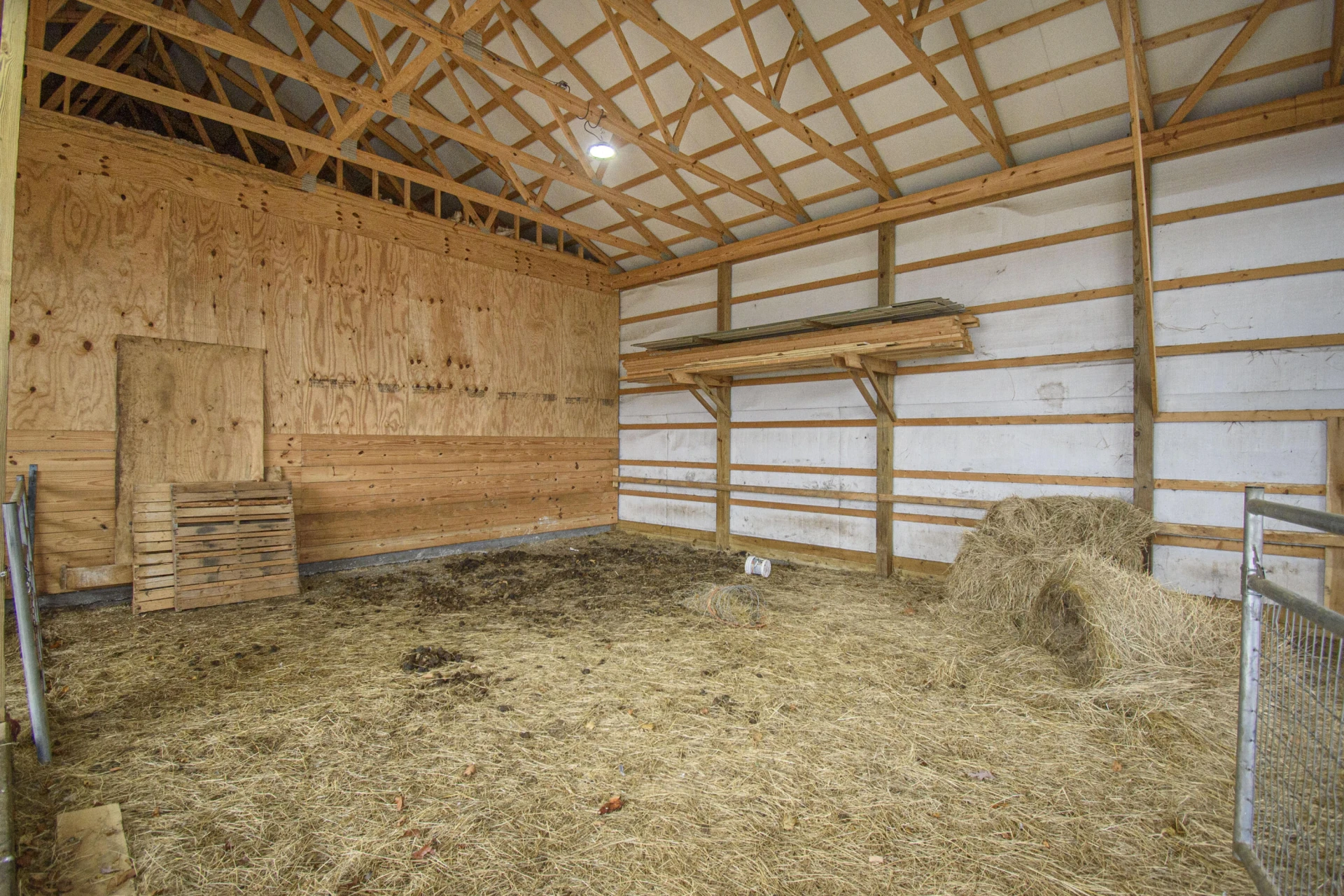 5485 Buffalo Mountain RD - Photo 55