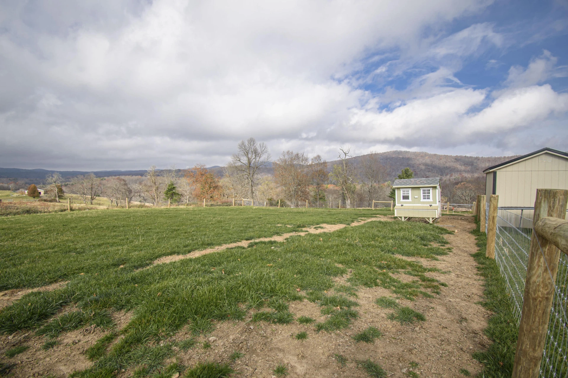 5485 Buffalo Mountain RD - Photo 63