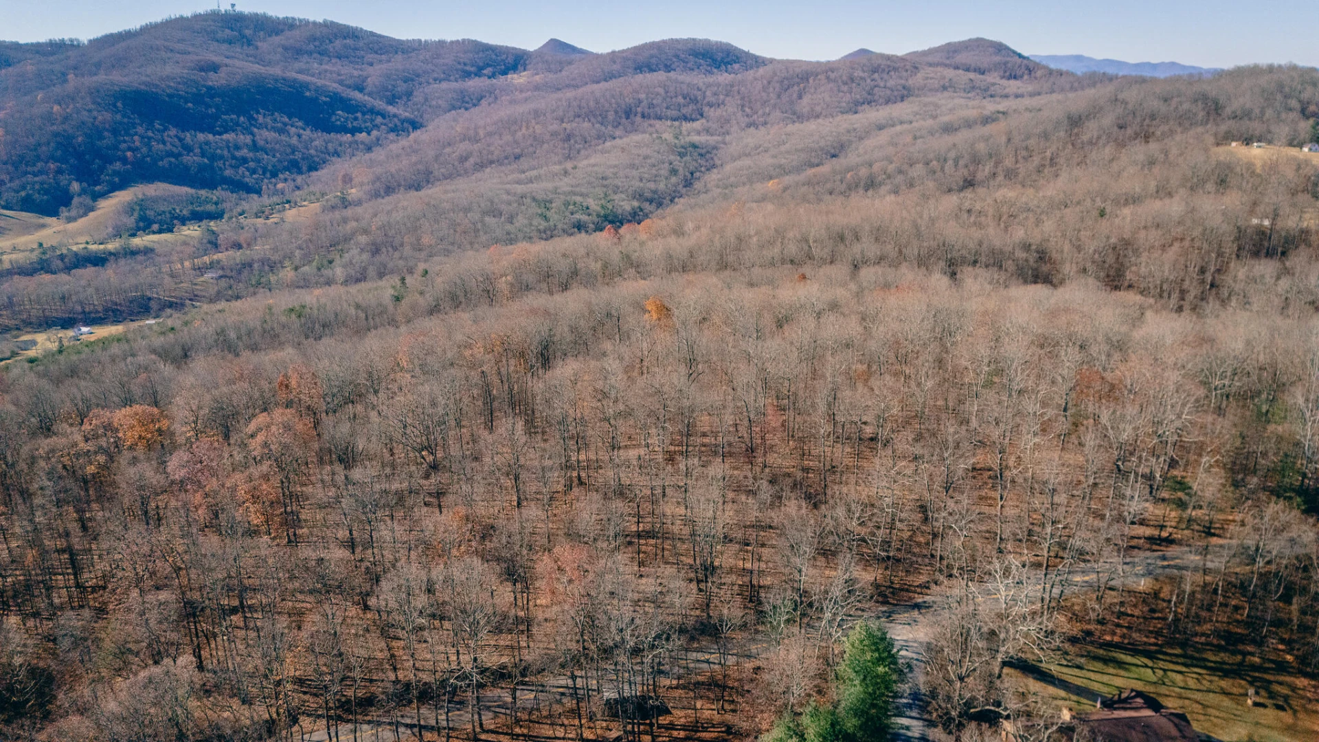 0 Bore Auger RD