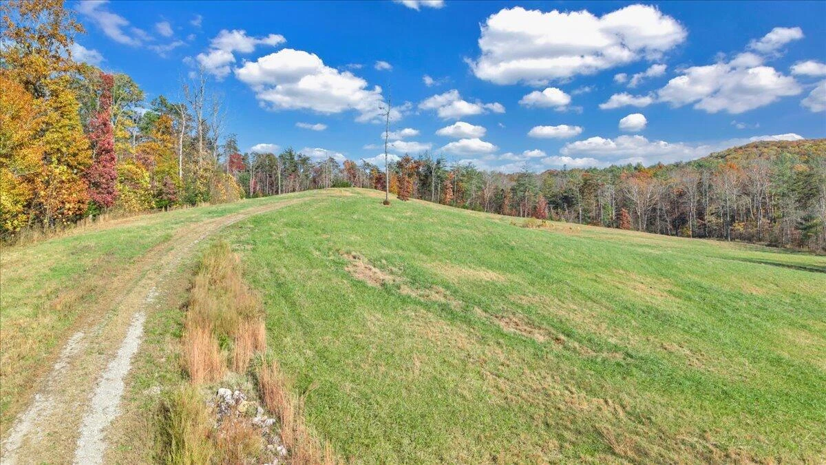 6742 Dawnwood RD - Photo 10