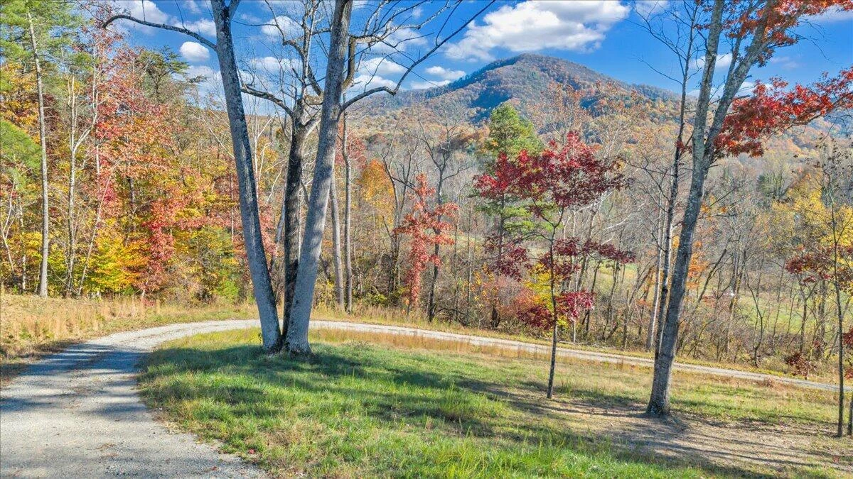 6742 Dawnwood RD - Photo 3