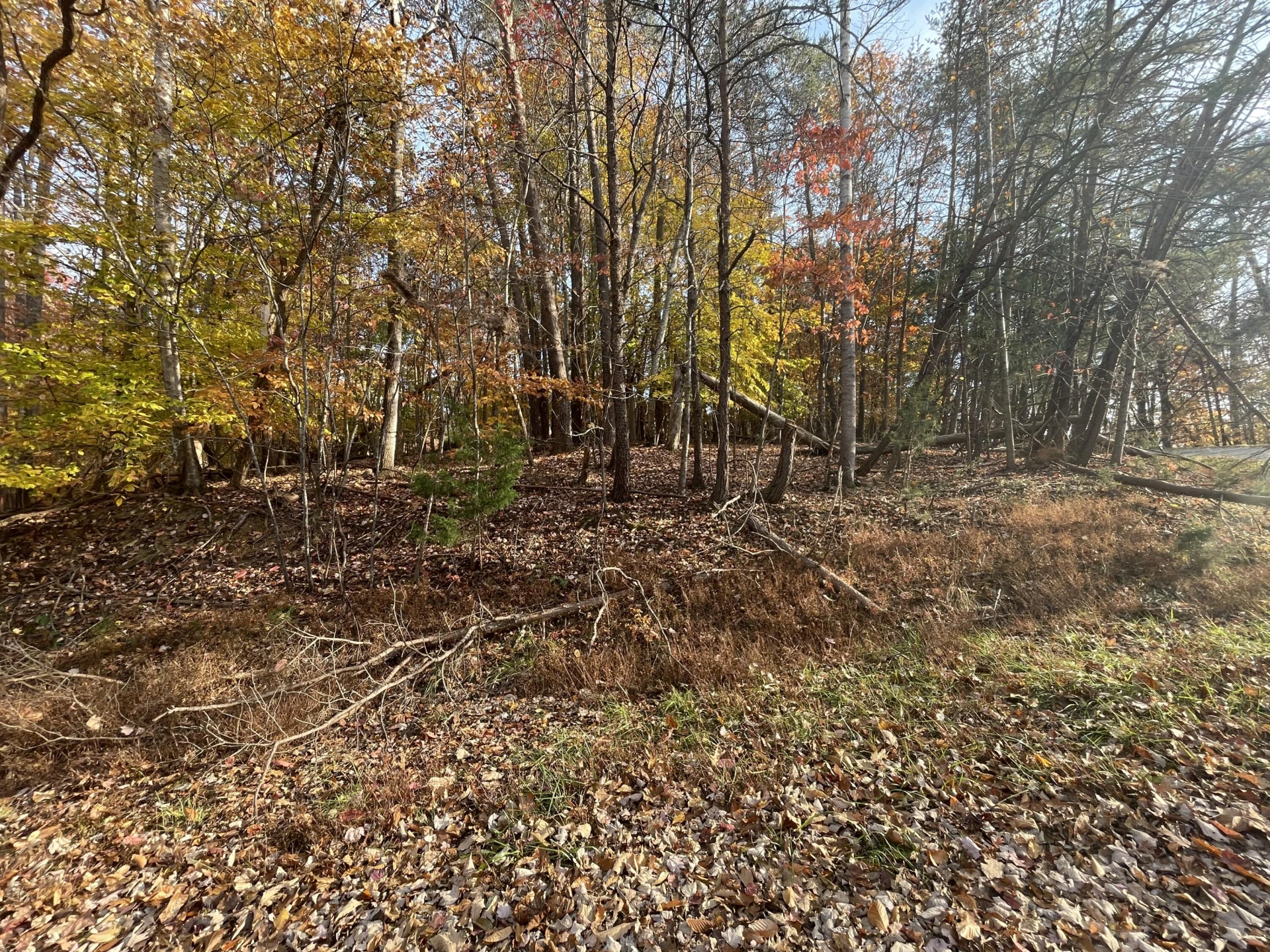 000 Stripers LN - Photo 9