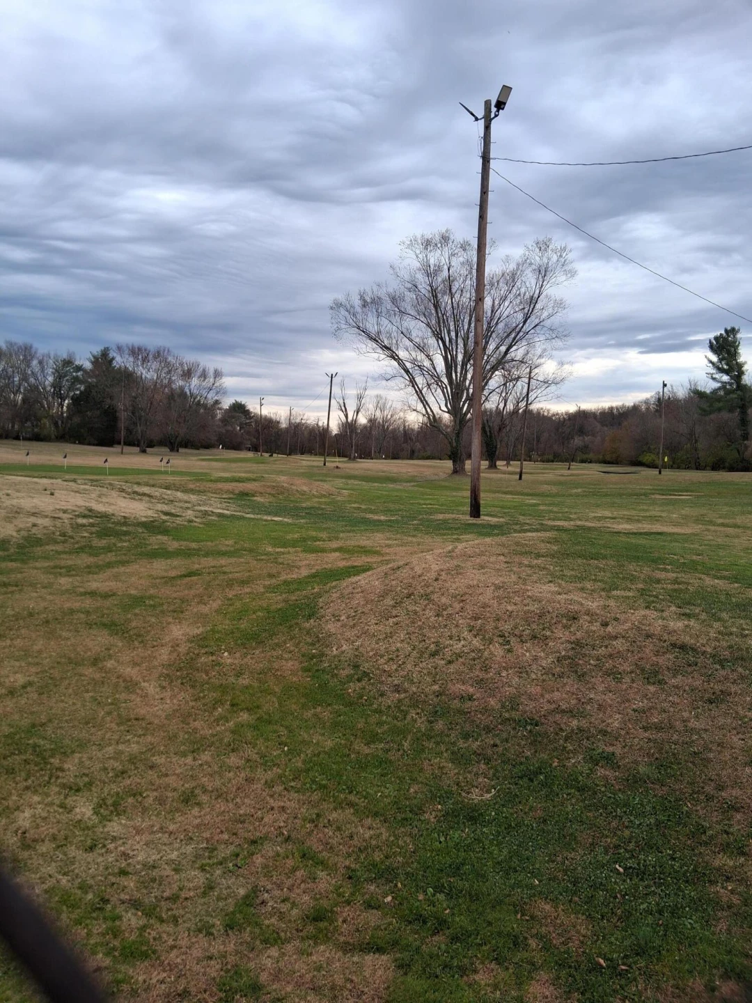 157 Clubhouse DR - Photo 4