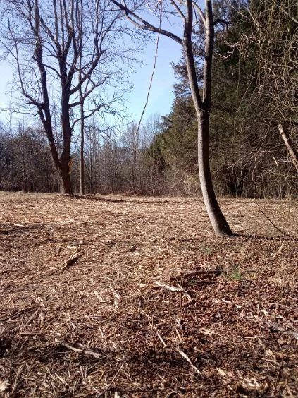 8100 Stage Coach RD - Photo 35