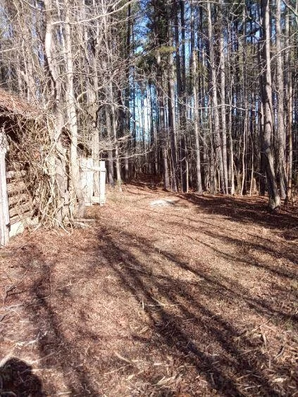 8100 Stage Coach RD - Photo 13
