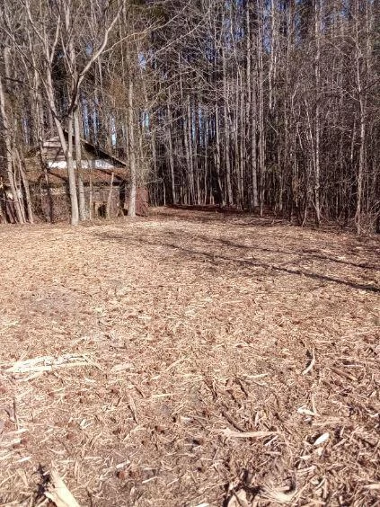 8100 Stage Coach RD - Photo 35