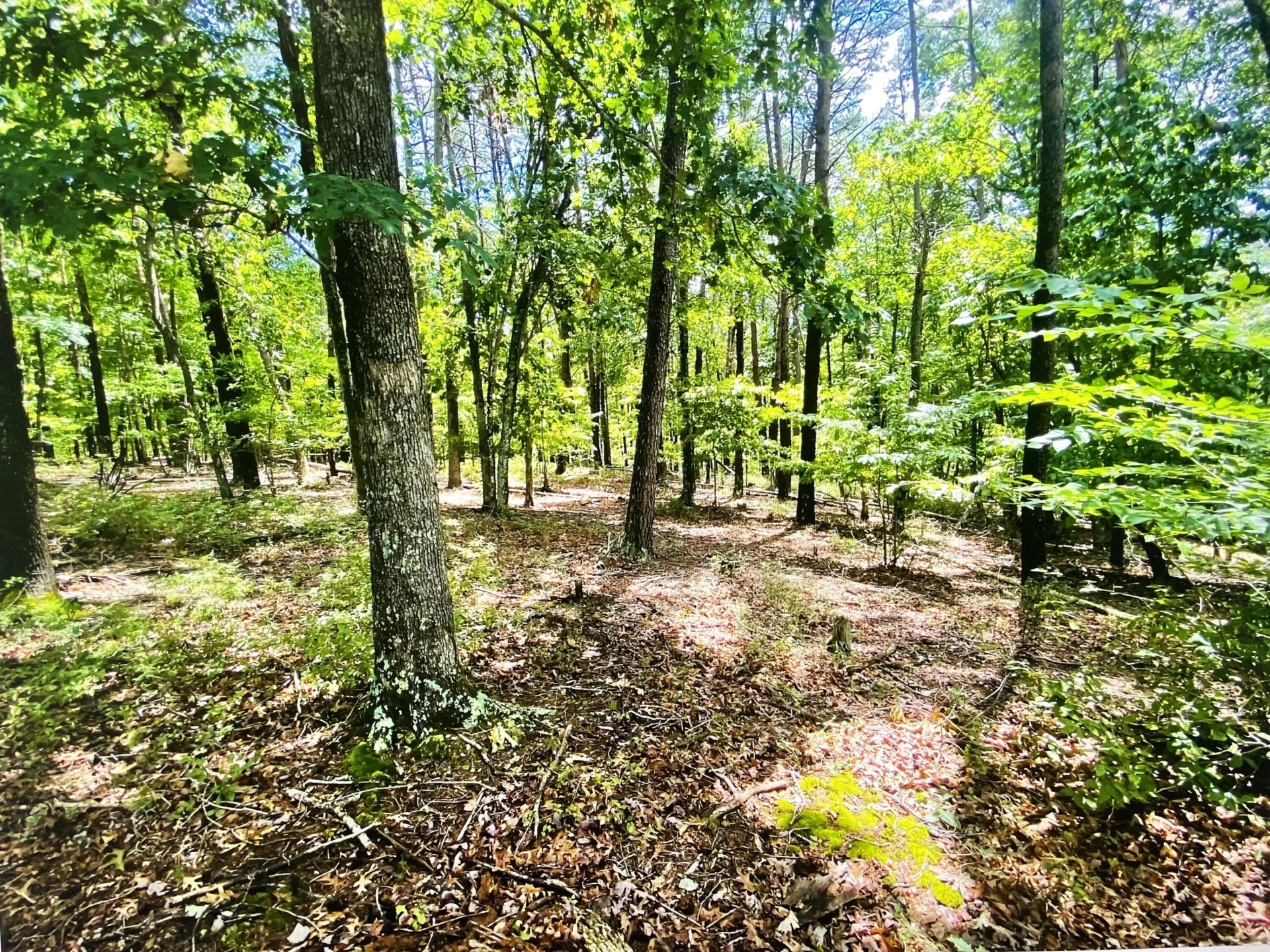 Lot 97 Greenberry DR