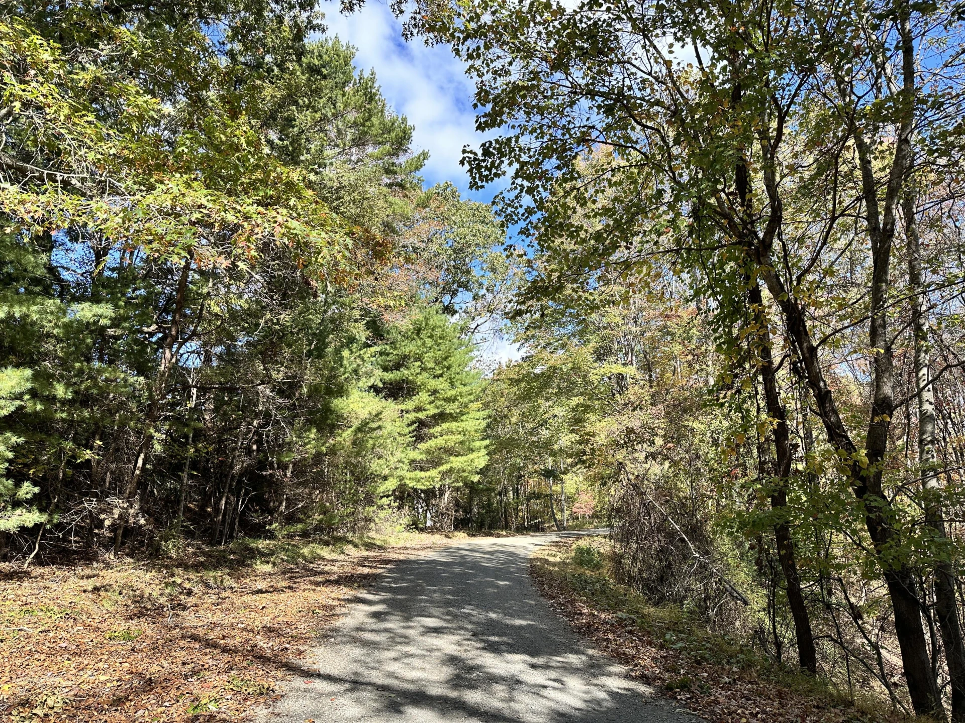 297 Reed Hill RD - Photo 14