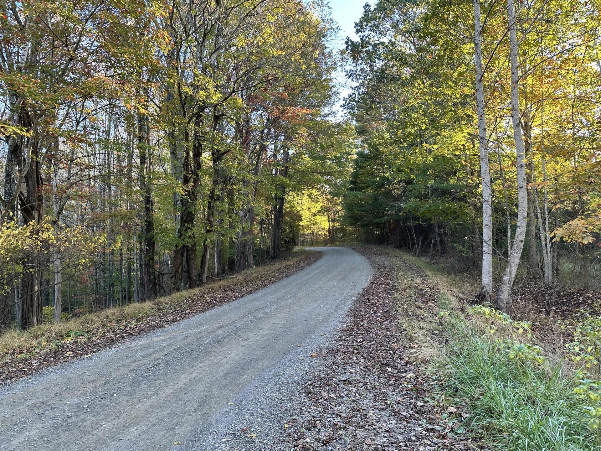 297 Reed Hill RD - Photo 16