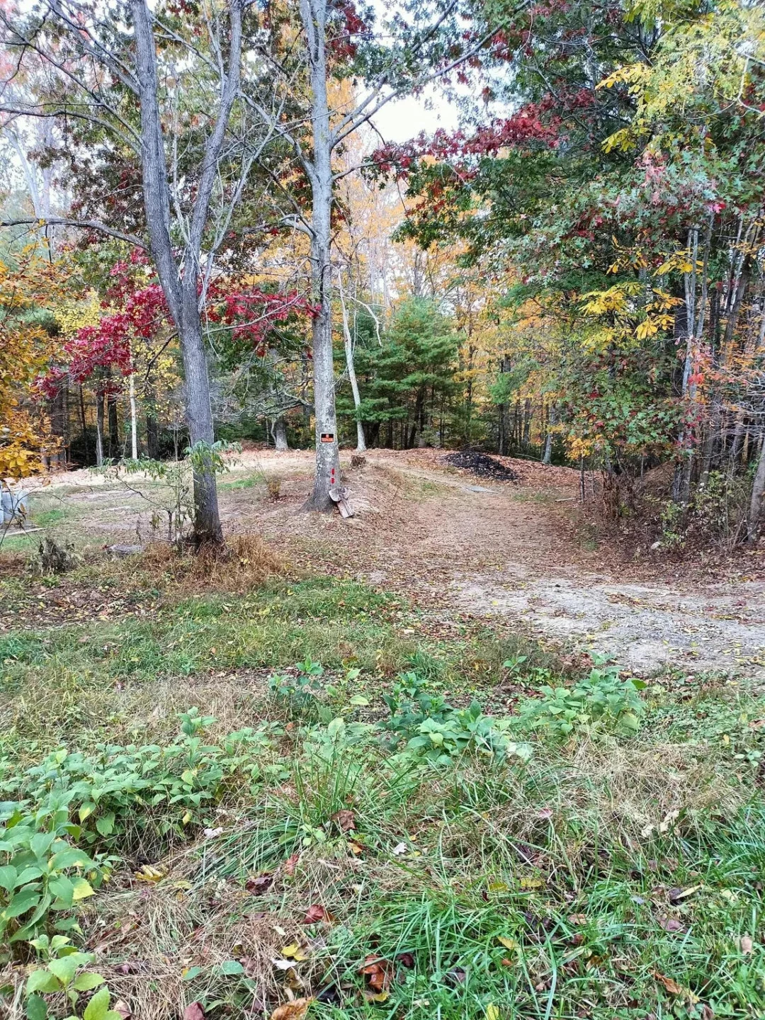 297 Reed Hill RD - Photo 8