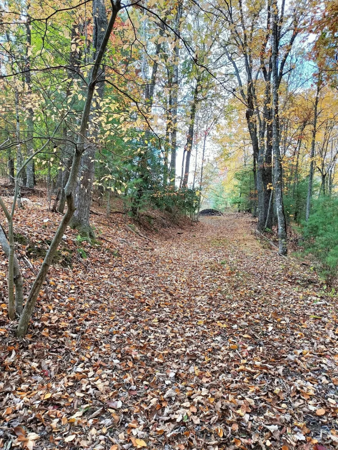 297 Reed Hill RD - Photo 9