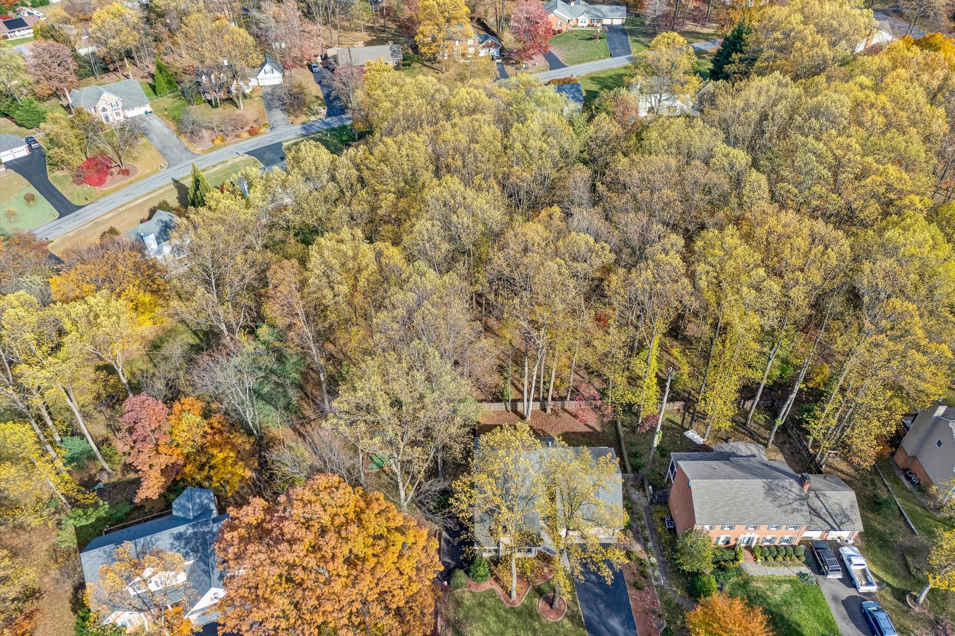 36 York ST - Photo 71