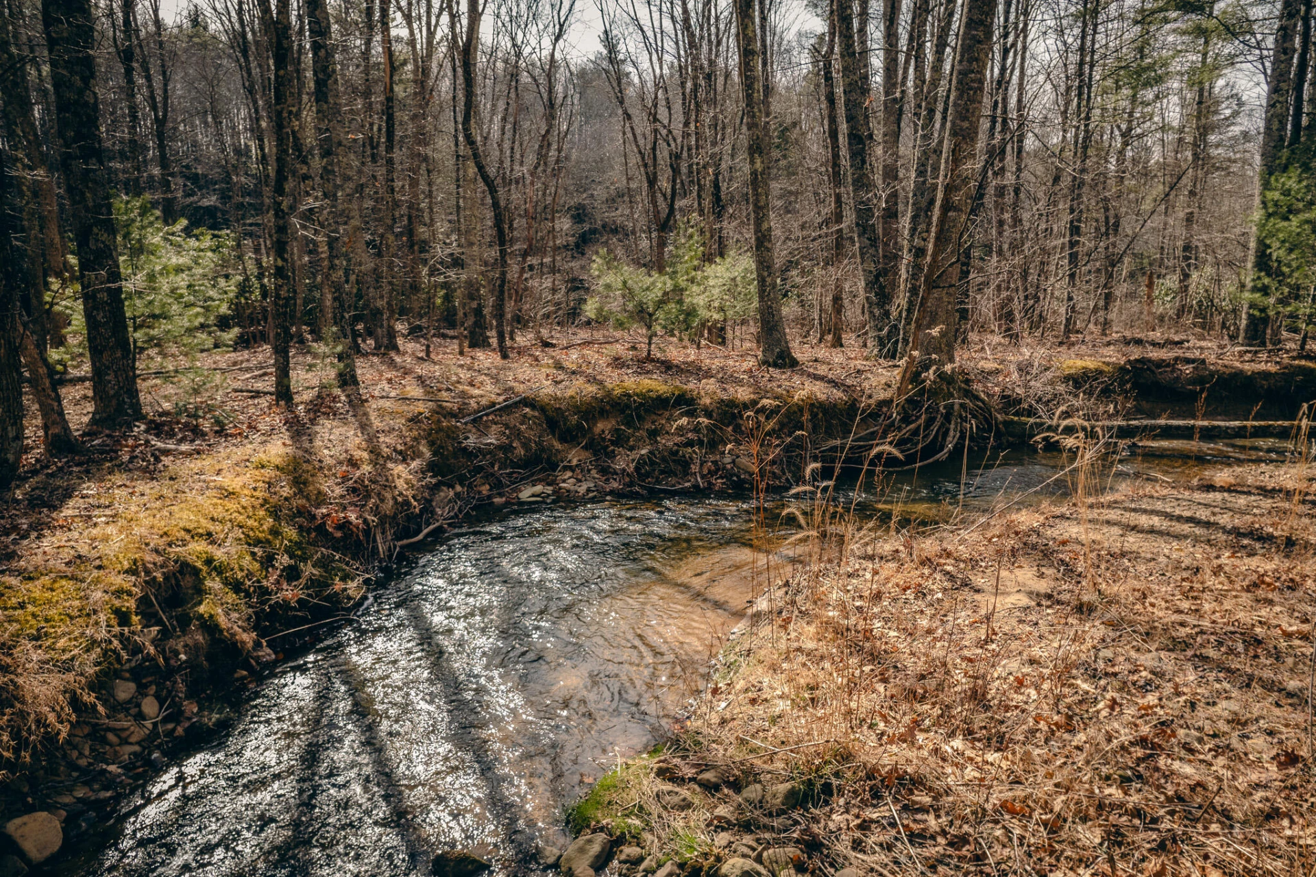 0 Bottom Creek RD - Photo 14