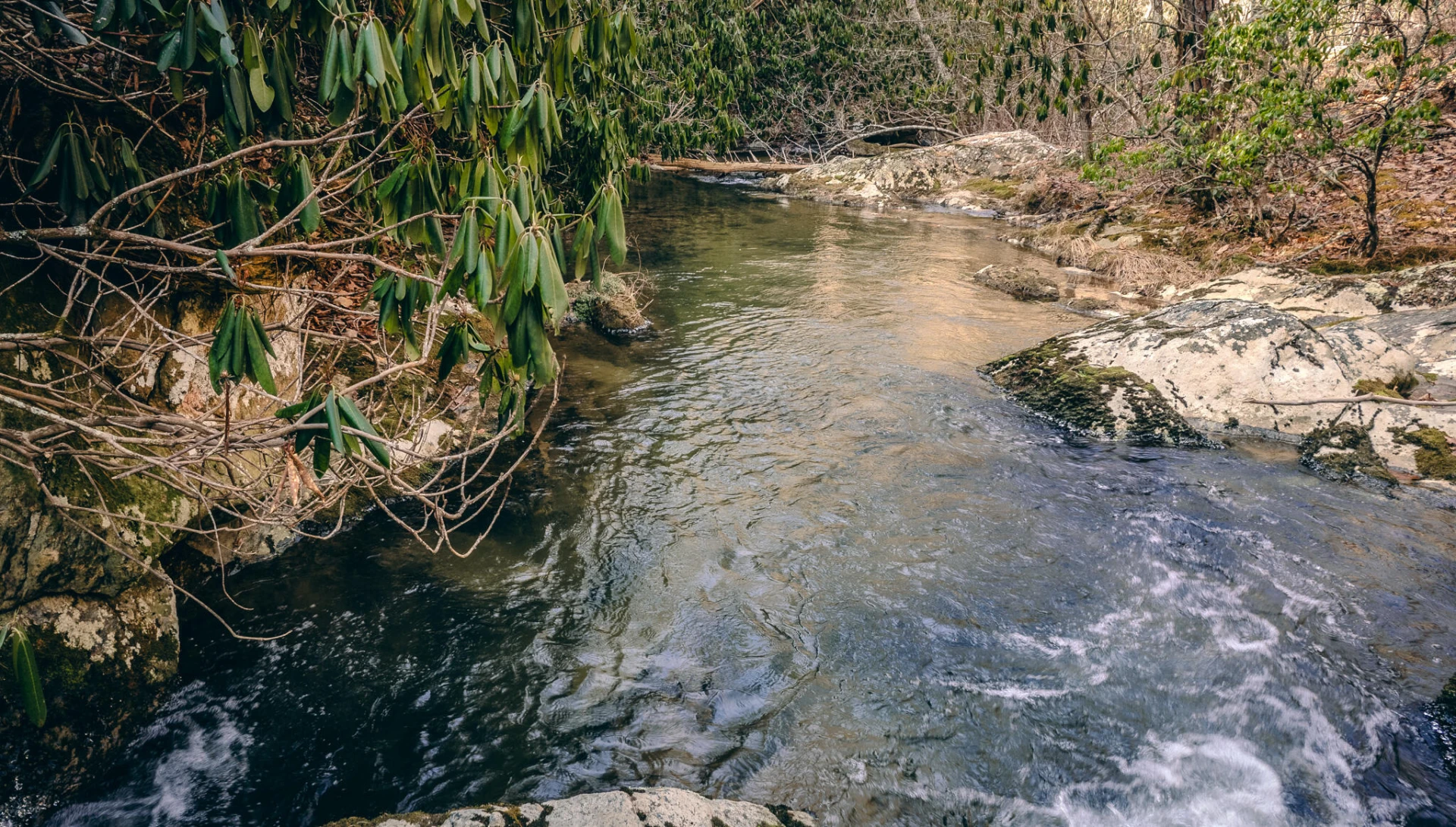 0 Bottom Creek RD - Photo 15