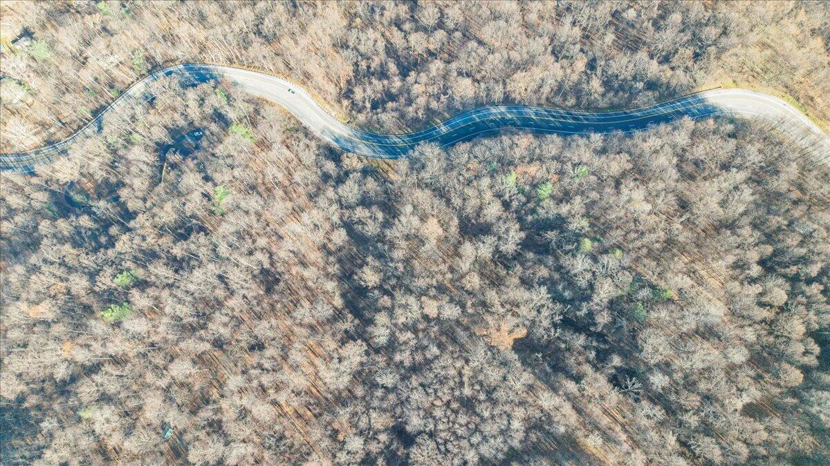 0 Bent Mountain RD - Photo 30