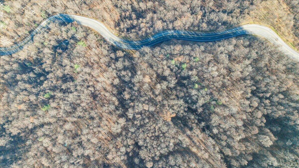 0 Bent Mountain RD - Photo 31