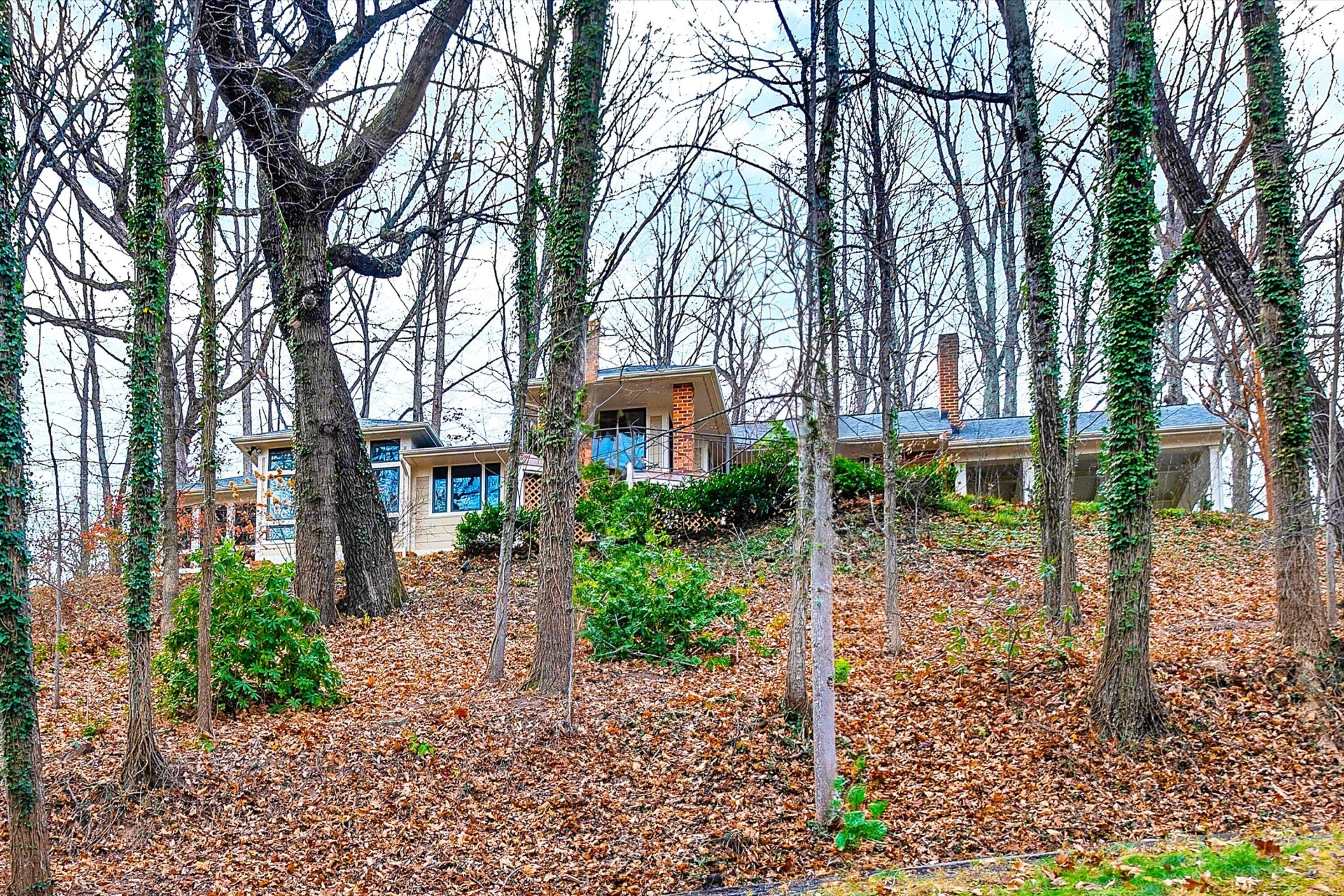 3600 Ridgewood LN