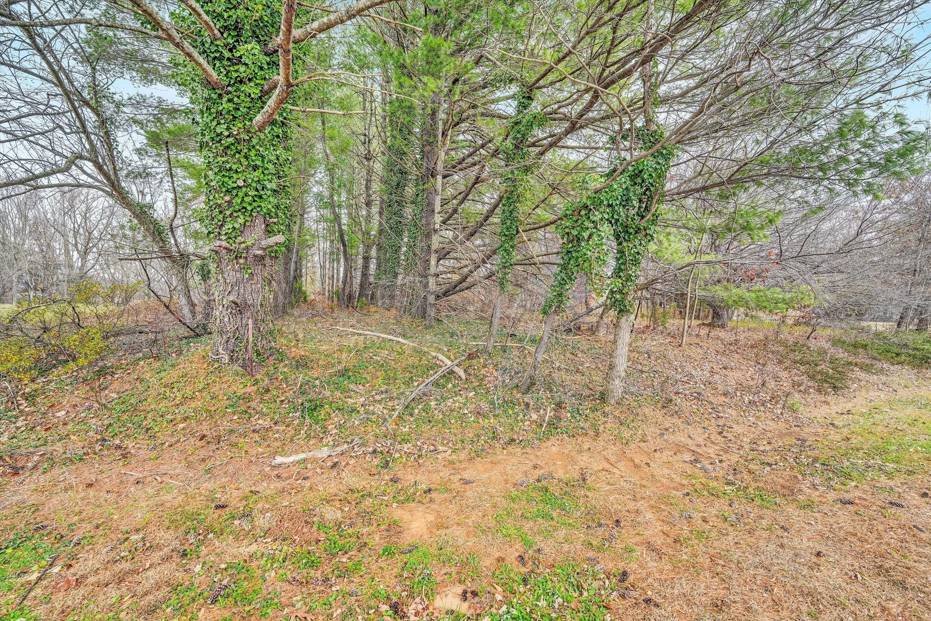 1059 Fairview DR - Photo 53
