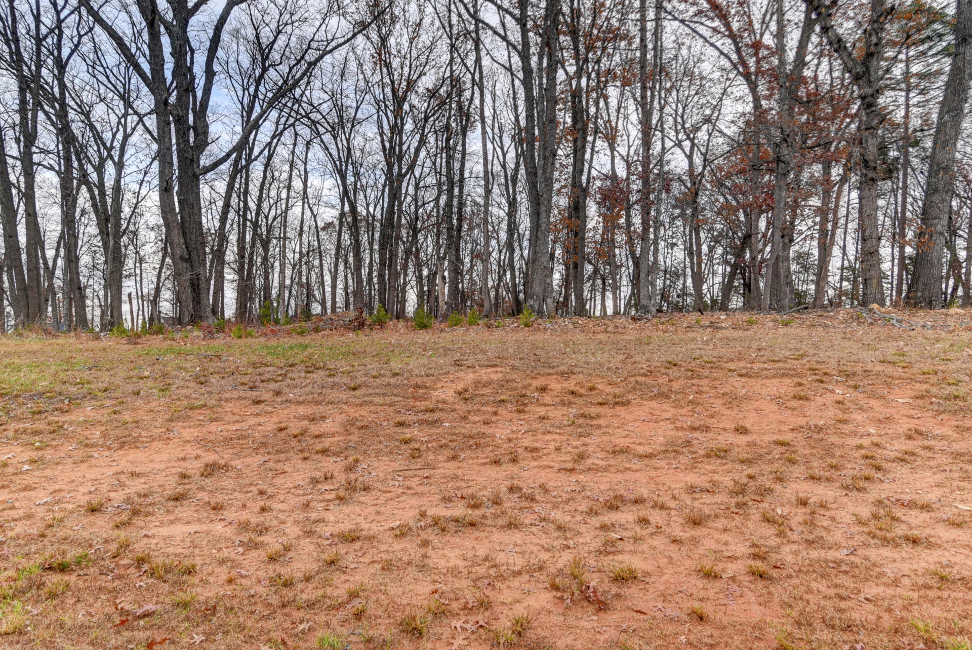 13900 Wyatts WAY - Photo 20