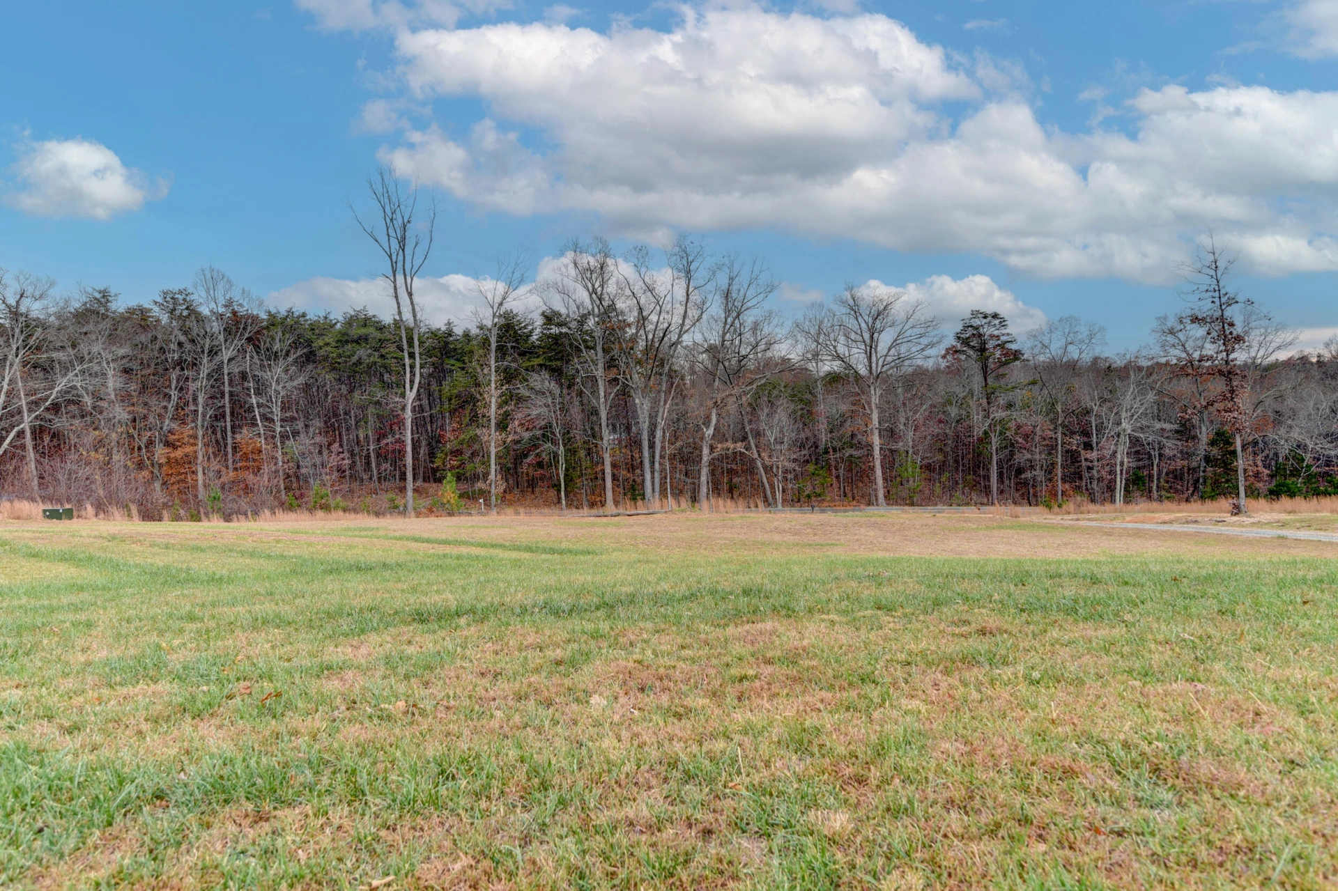 13900 Wyatts WAY - Photo 23