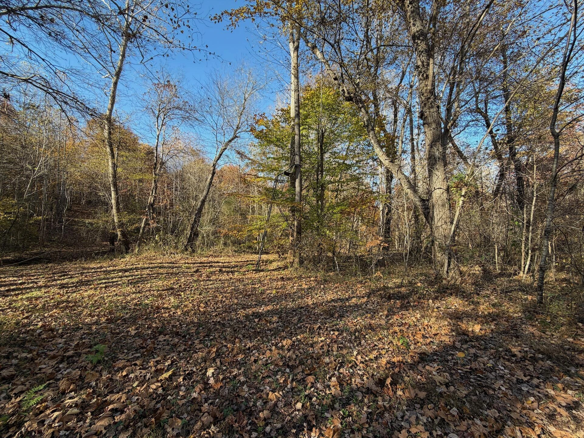 0 Beulah RD - Photo 10